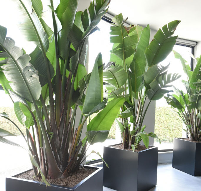 Eurobuilding Lab: il luogo dove crescono le idee